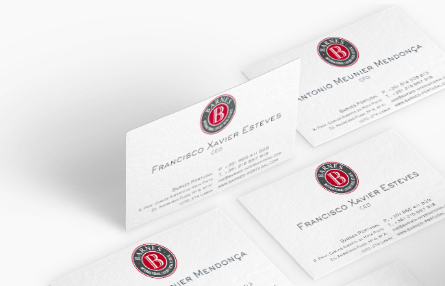 Barnes Portugal by Optimizing Concepts